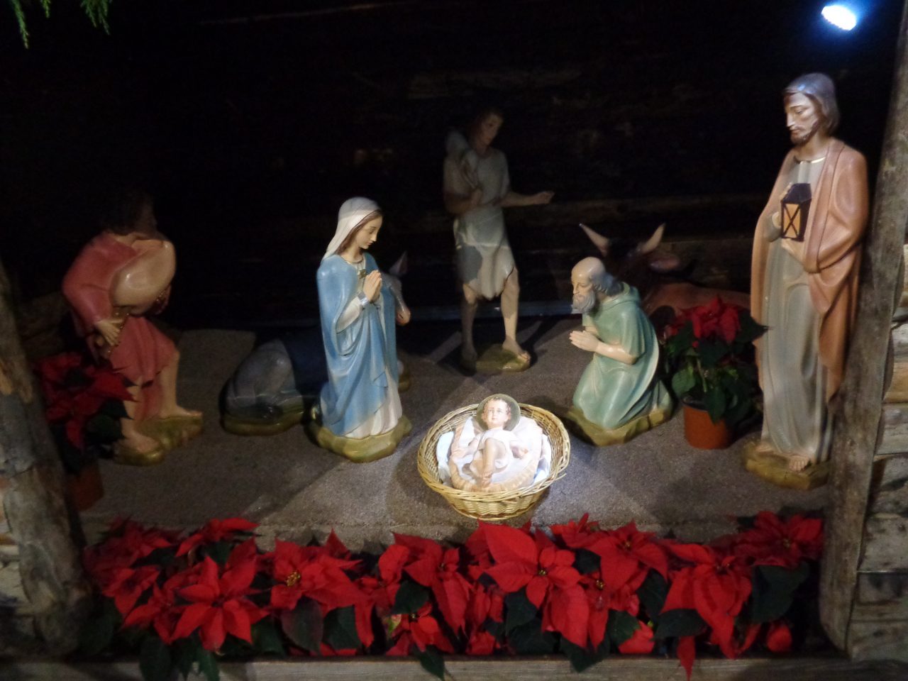 Crib in St. Teresa’s Church, Donore Avenue – Christmas 2017